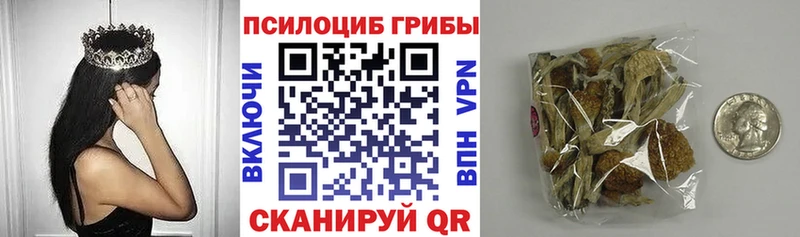 Псилоцибиновые грибы прущие грибы  Велиж 